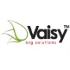 vaisy - short and beautiful startup name